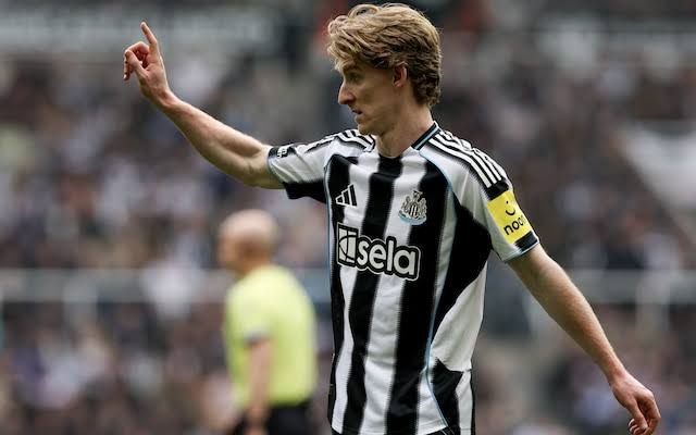stam2